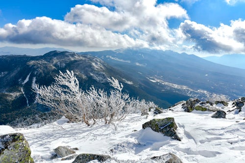 霧氷と八ヶ岳南の景色（蓼科山）の写真