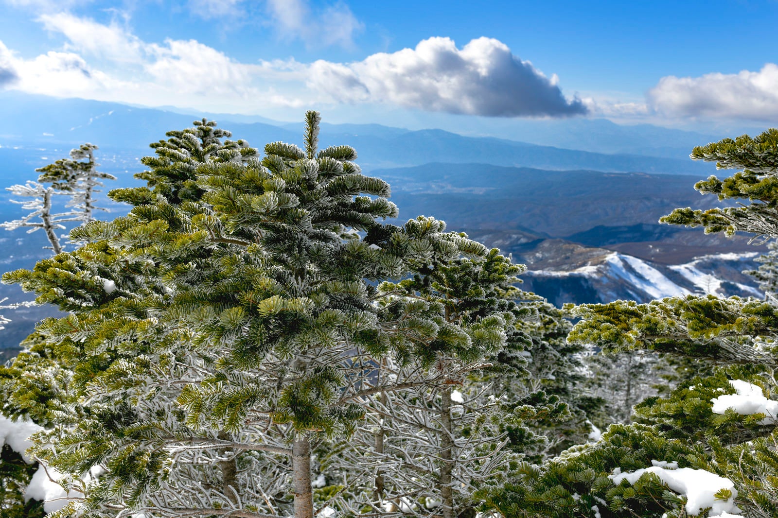 「霧氷になりかけた木々が連なる蓼科山（たてしなやま）」の写真