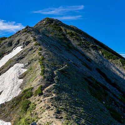 水晶岳側から見る鷲羽岳（わしばだけ）の写真