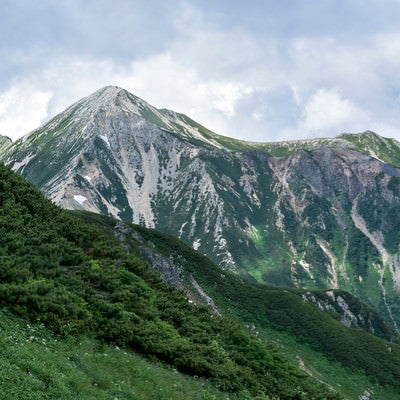 登山道の向こうに顔を出す鷲羽岳の白い斜面の写真