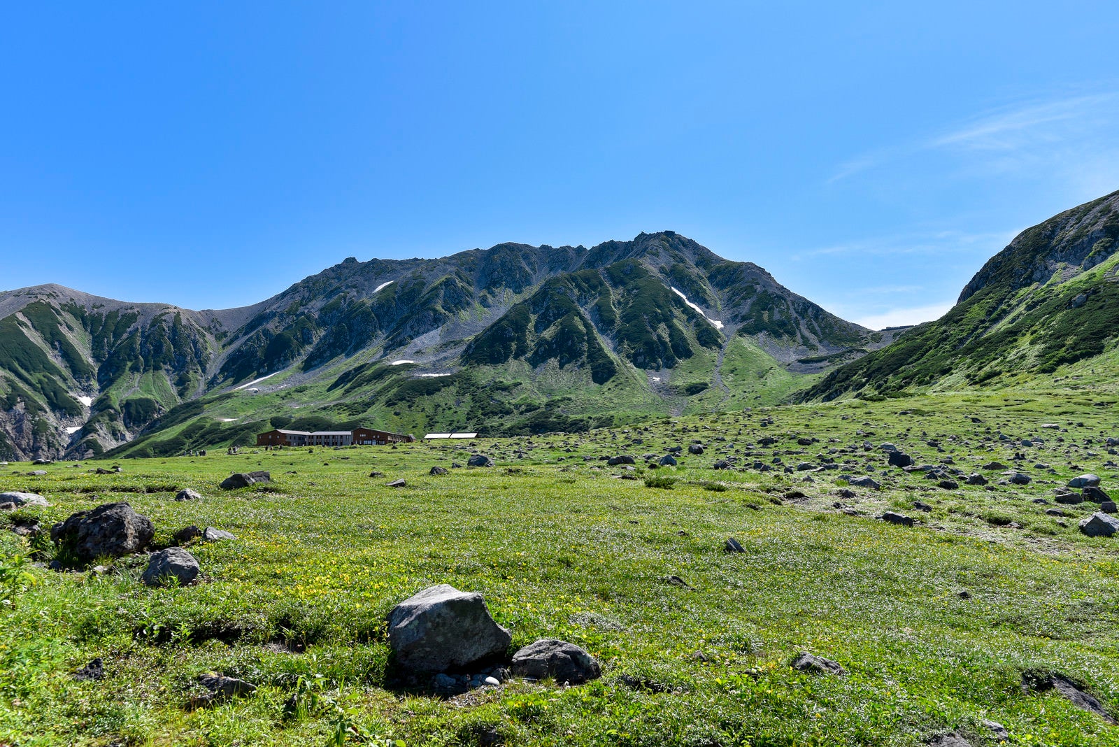 「立山室堂の草原と立山雄山」の写真