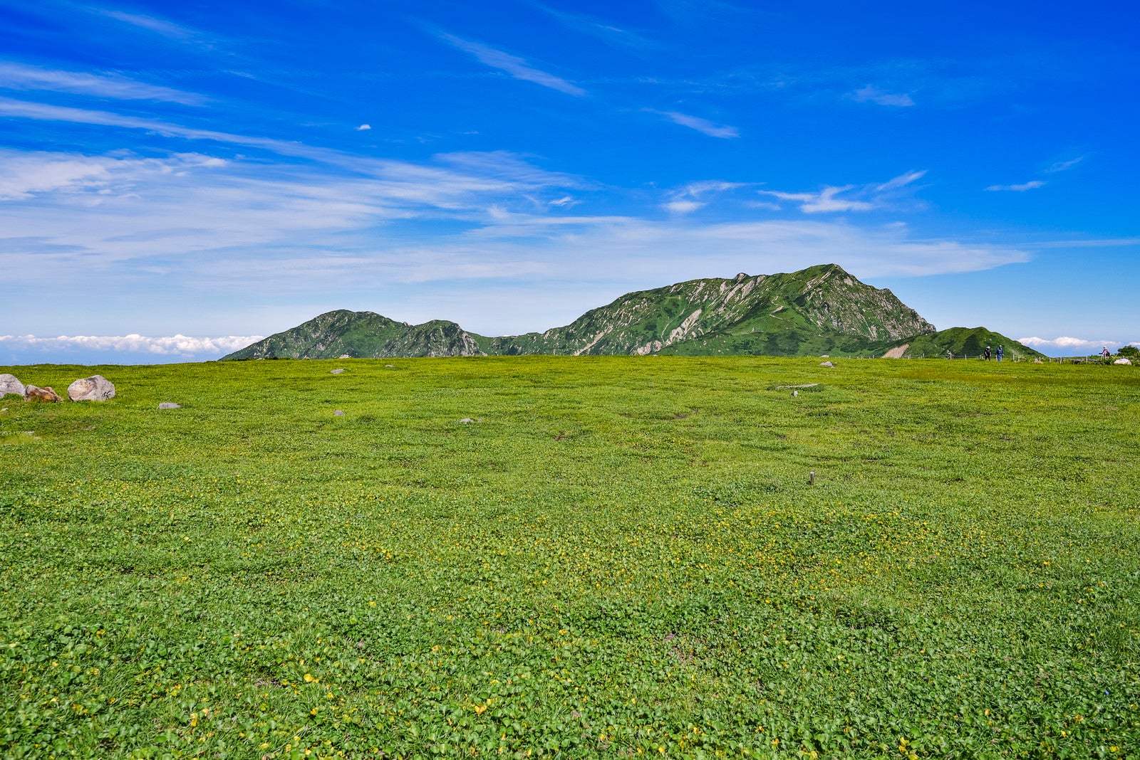 「立山室堂の草原の向こうにある奥大日岳」の写真