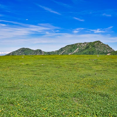 立山室堂の草原の向こうにある奥大日岳の写真