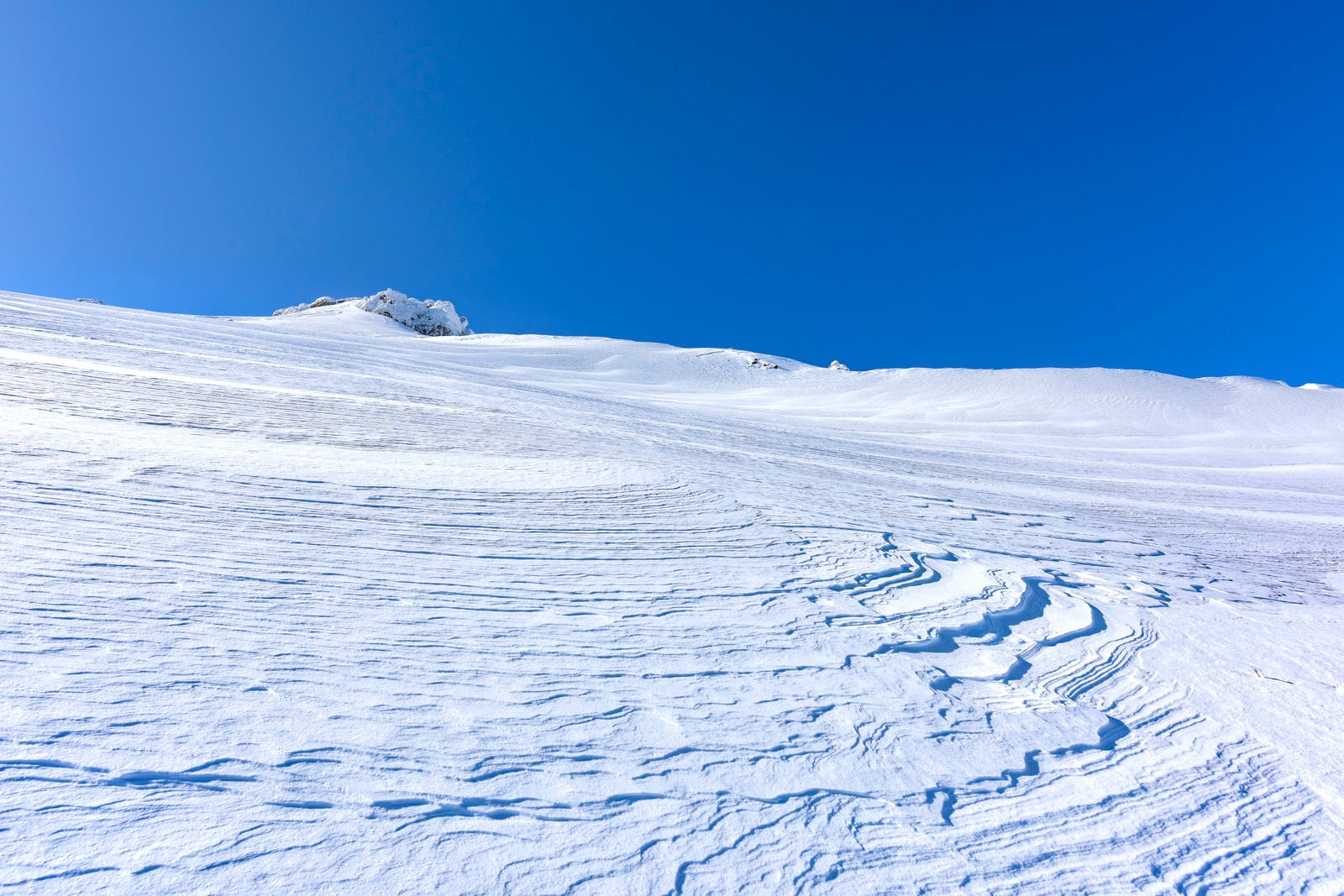 「雪の斜面にできた風紋（安達太良山）」の写真