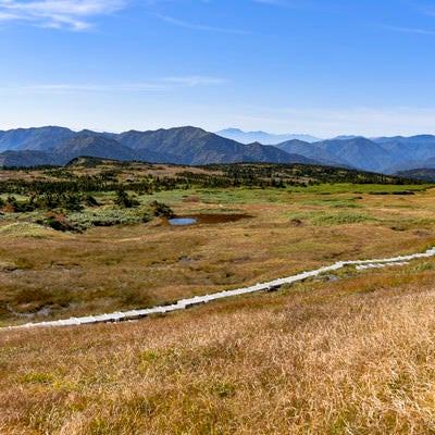 山頂の広い高層湿原とそれを走る木道（苗場山）の写真