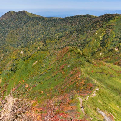 紅葉に染まる神楽ヶ峰方面（苗場山）の写真