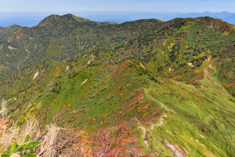 紅葉に染まる神楽ヶ峰方面（苗場山）の写真