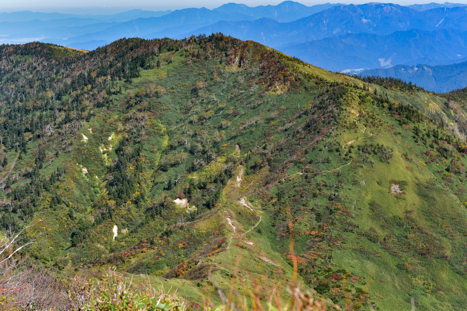 「苗場山から見る神楽ヶ峰方面」の写真