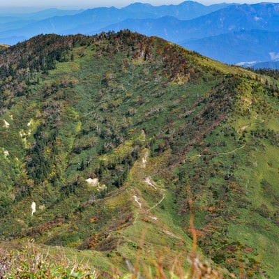 苗場山から見る神楽ヶ峰方面の写真