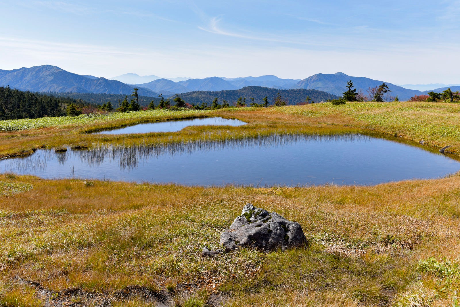 「苗場山山頂を彩る池塘」の写真