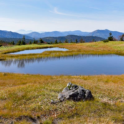 苗場山山頂を彩る池塘の写真