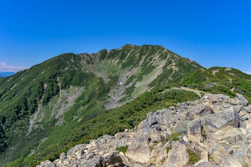 小仙丈ヶ岳から見る巨大なカール状の斜面（仙丈ヶ岳）の写真