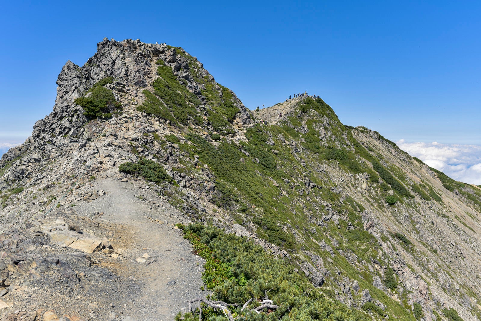「岩とハイマツが広がる仙丈ヶ岳稜線の道」の写真