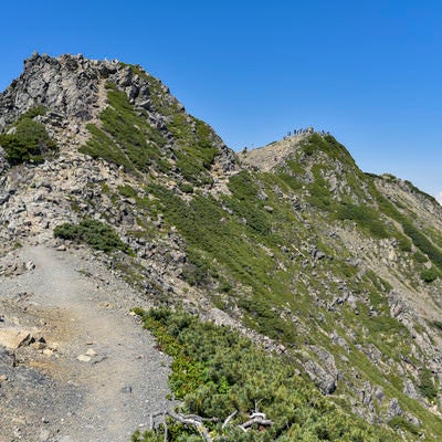 岩とハイマツが広がる仙丈ヶ岳稜線の道の写真