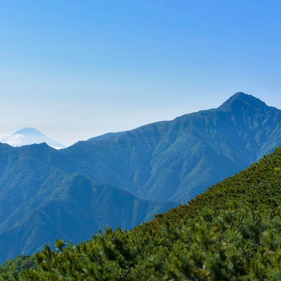 日本1位と2位の高峰を見る（仙丈ヶ岳）の写真