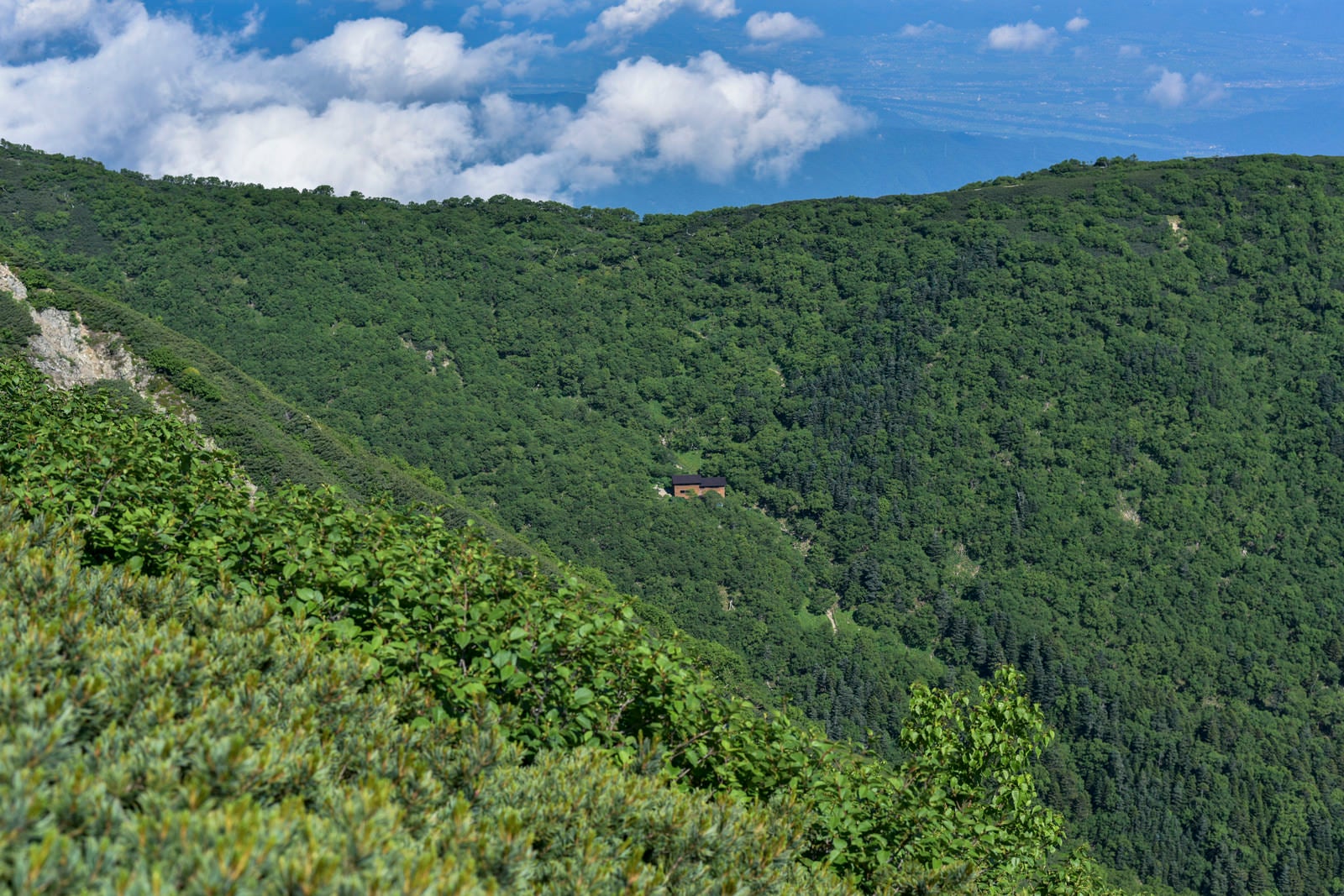 「森に包まれた山小屋（仙丈ヶ岳）」の写真
