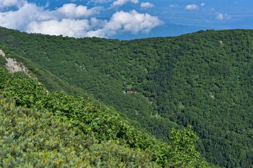 森に包まれた山小屋（仙丈ヶ岳）の写真