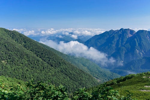 森深い南アルプスのふもとの景色（仙丈ヶ岳）の写真