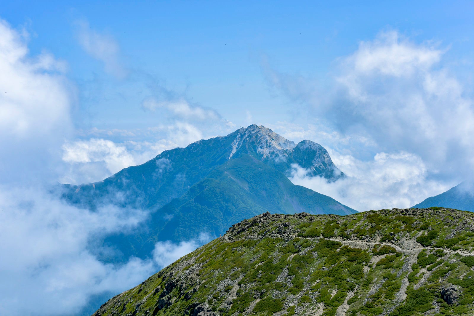 「真っ白な山頂が特徴的な甲斐駒ヶ岳（仙丈ヶ岳）」の写真