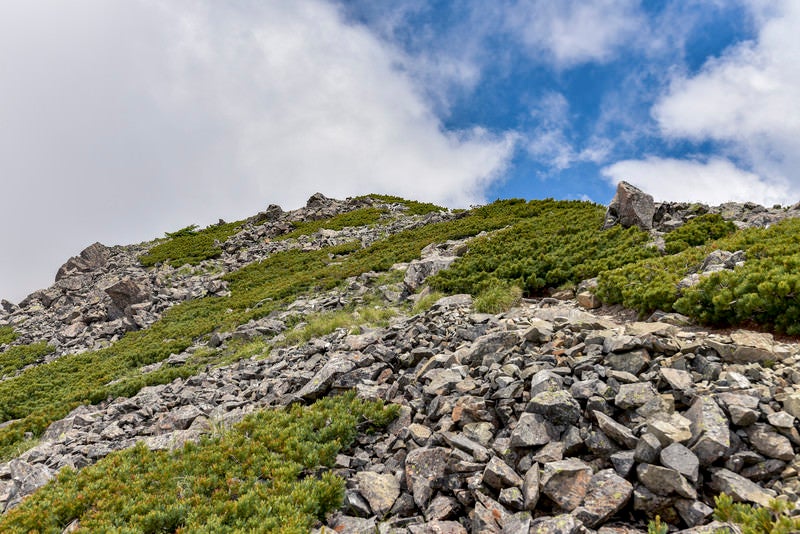 石とハイマツだけが広がる仙丈ヶ岳の稜線の写真