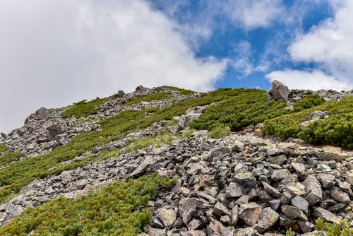 石とハイマツだけが広がる仙丈ヶ岳の稜線の写真