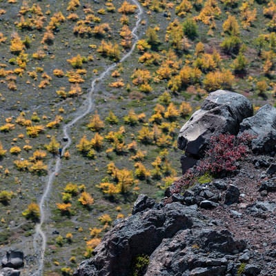 唐松紅葉に彩られた賽の河原（浅間山）の写真