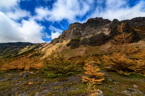 紅葉の黒斑山絶壁（浅間山）の写真