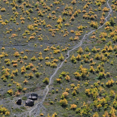 賽の河原を横切る登山道（浅間山）の写真