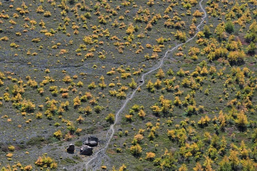 賽の河原を横切る登山道（浅間山）の写真