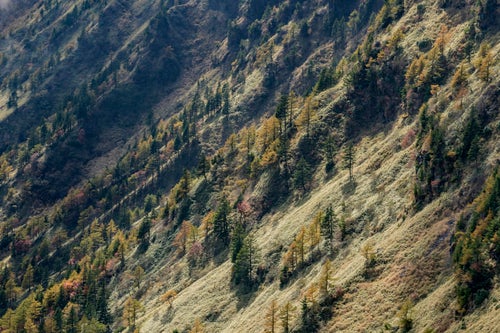 黒斑山草滑り方面の景色（浅間山）の写真