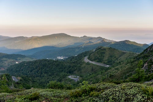 早朝の草津白根山につながる山道の写真