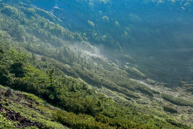 本白根山の火口にたまる霧（草津白根山）の写真