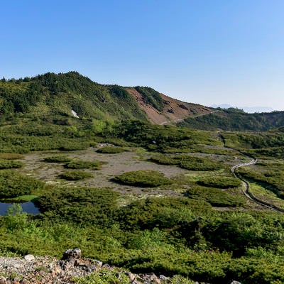 登山道が整備された本白根山火口（草津白根山）の写真