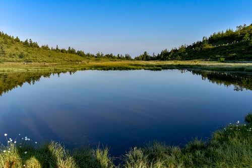 鏡のような湖面を持つ弓池（草津白根山）の写真