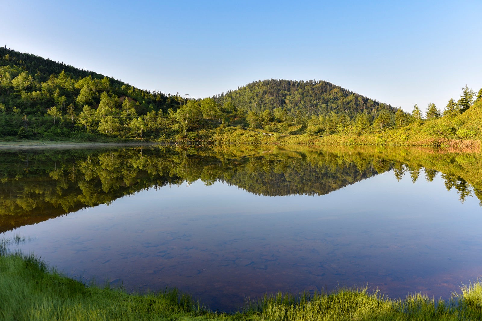 「鏡面反射が美しい弓池の朝（草津白根山）」の写真