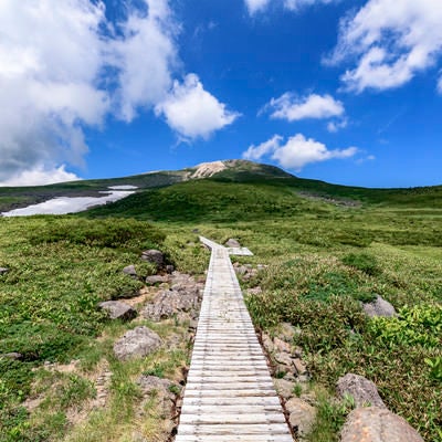 木道が一直線に続く弥陀ヶ原と白山山頂方面の写真