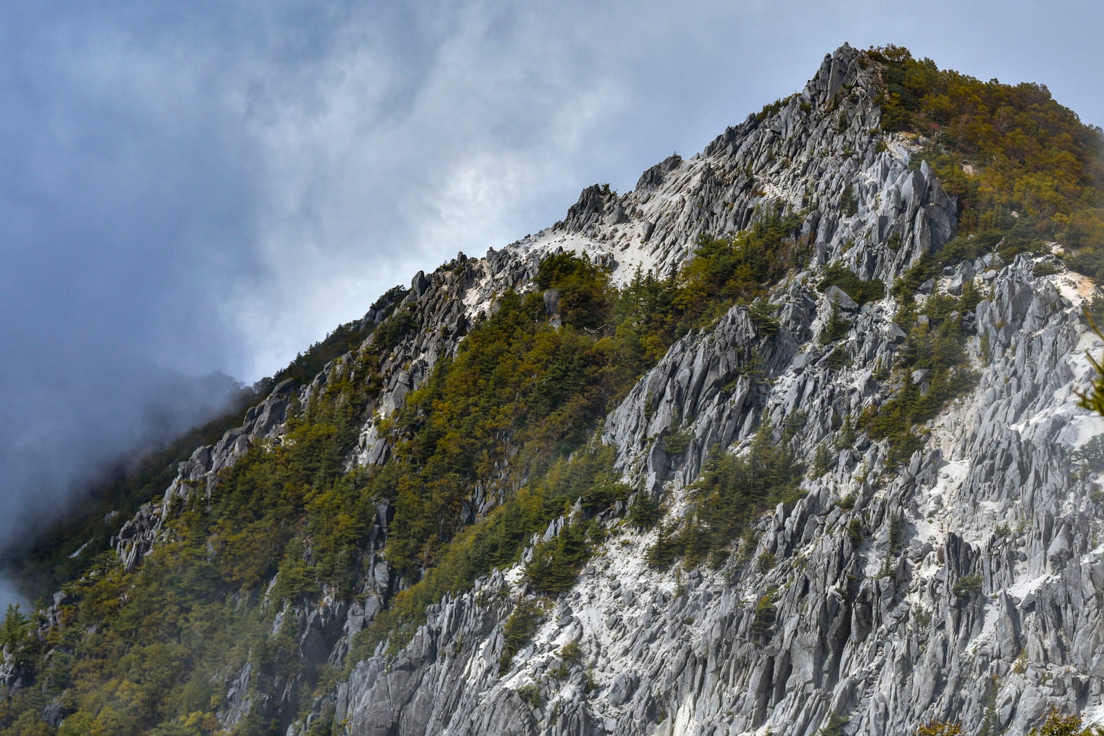 「白い岩に覆われる鳳凰山の山肌（鳳凰三山）」の写真