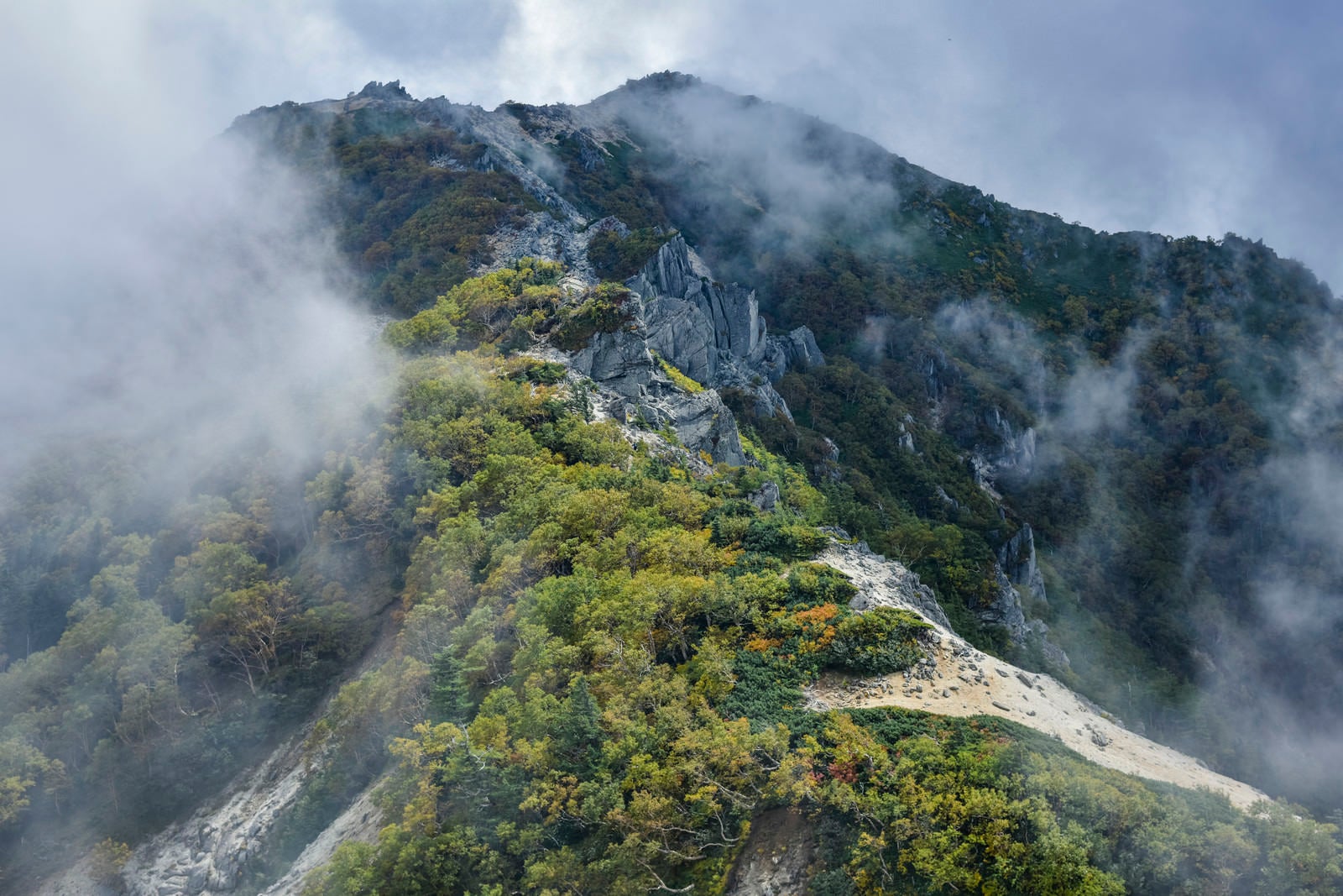 「雲に包まれる鳳凰山稜線（鳳凰三山）」の写真
