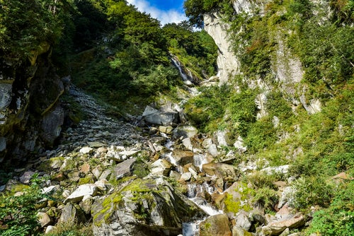 鳳凰の滝方面へと向かう谷筋（鳳凰三山）の写真