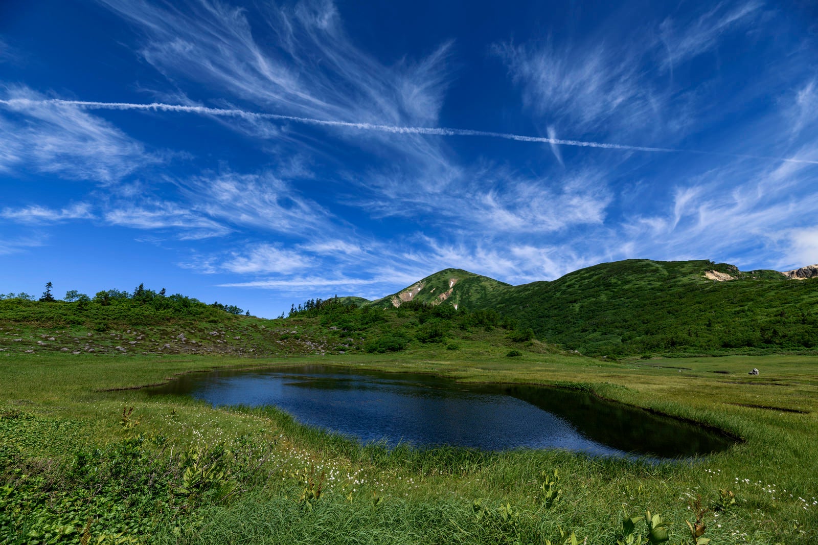 「快晴の青空と火打山と池塘（ちとう）」の写真