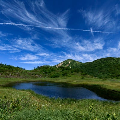 快晴の青空と火打山と池塘（ちとう）の写真