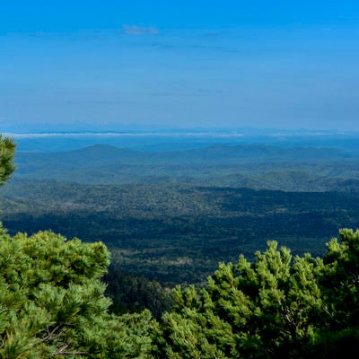 ハイマツ林から見る道東日高方面の景色（雌阿寒岳）の写真