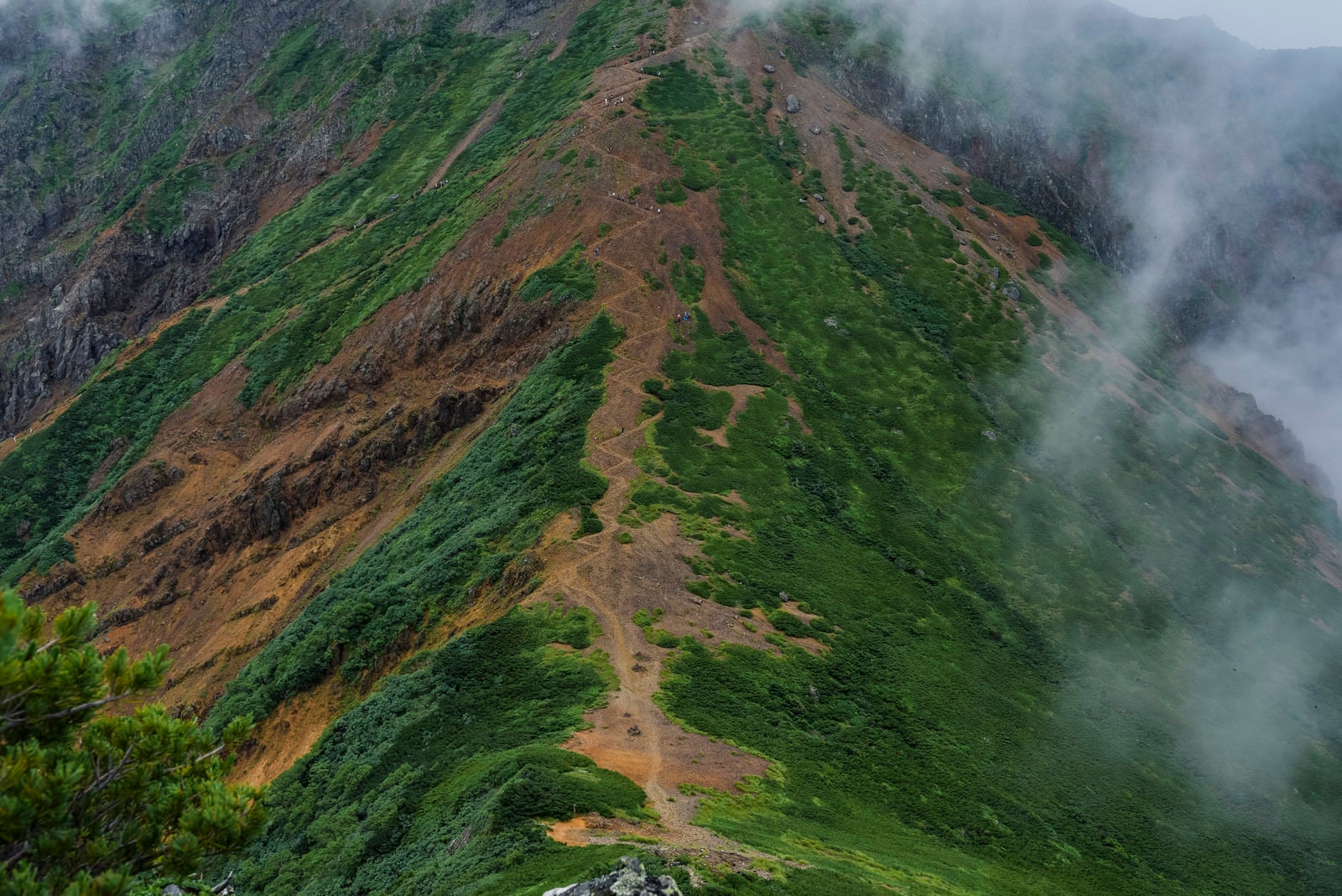 「ガスを纏う文三郎尾根登山道（赤岳）」の写真