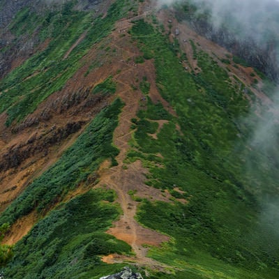 ガスを纏う文三郎尾根登山道（赤岳）の写真