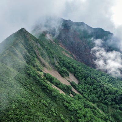 湧き上がる雲に包まれる深い緑に包まれた八ヶ岳登山道（赤岳）の写真