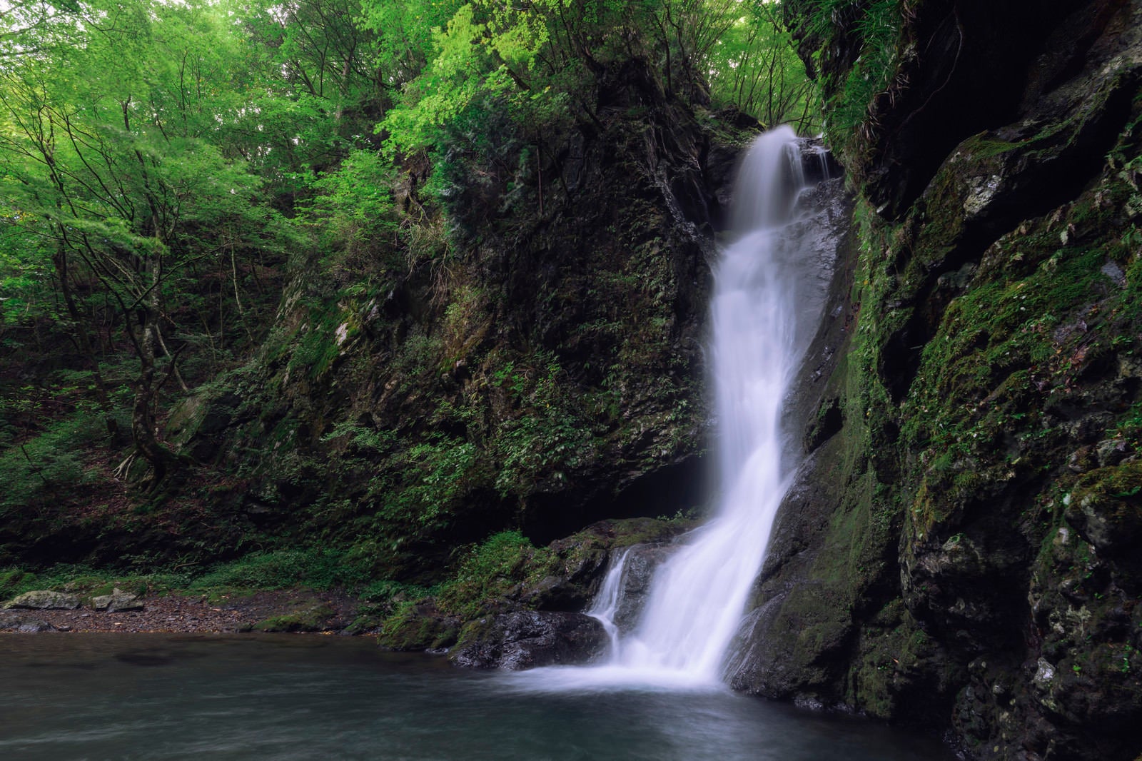 「豊富な水量を誇る海沢渓谷大滝」の写真