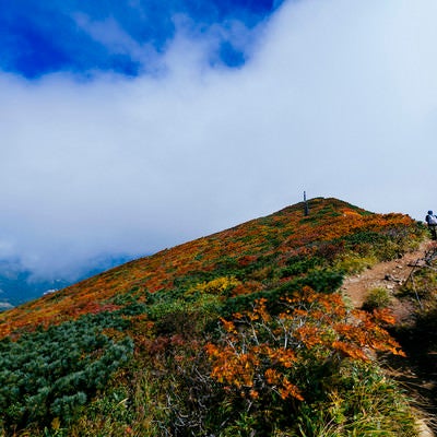 雲の合間に見える栗駒山の紅葉の写真