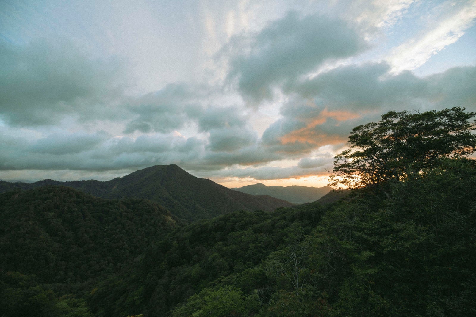 「雲の隙間から除く朝焼けと緑深き山々」の写真