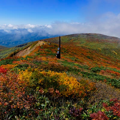 青空のもとに美しい紅葉を見せてくれる栗駒山の景色の写真