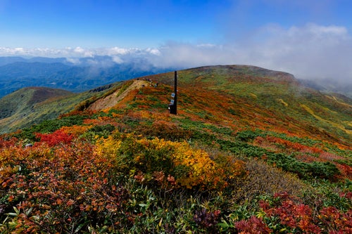 青空のもとに美しい紅葉を見せてくれる栗駒山の景色の写真